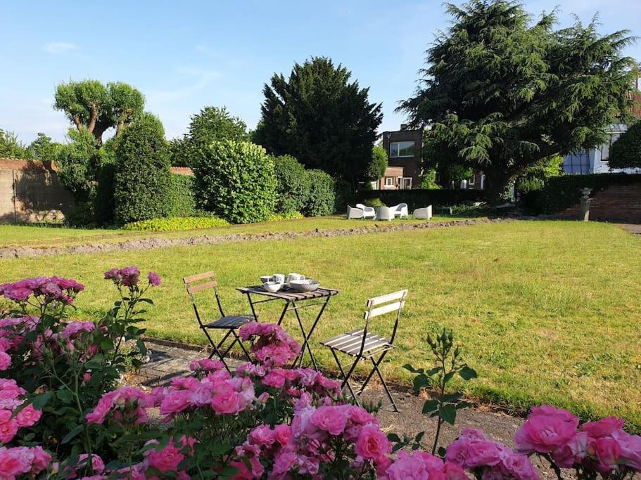 Huyze Lapin Vakantiewoning Brugge Bagian luar foto